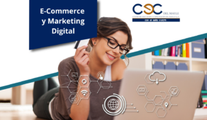 E-Commerce y Marketing Digital