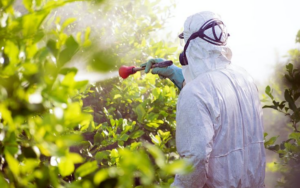 Manejo y Uso de Plaguicidas Agrícolas