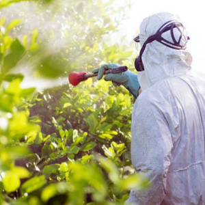 Manejo y Uso de Plaguicidas Agrícolas