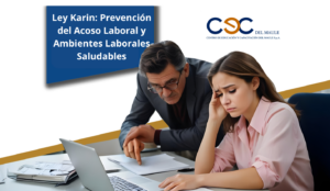 Ley Karin: Prevención del Acoso Laboral y Ambientes Laborales Saludables