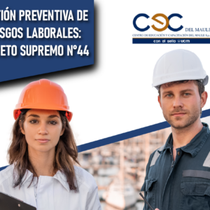 Gestión Preventiva de Riesgos Laborales: Decreto Supremo N°44