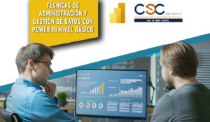 Técnicas de Administración y Gestión de Datos con Power BI Nivel Básico