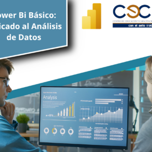 Power Bi Básico: Aplicado al Análisis de Datos
