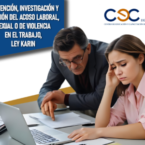 Ley Karin: Prevención del Acoso Laboral y Ambientes Laborales Saludables