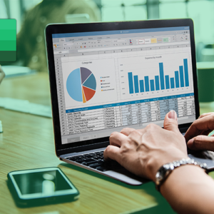 Microsoft Excel Avanzado